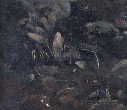 null GODCHAUX (XIXème siècle)
Rivière dans la montagne
Huile sur toile
Signée à la...