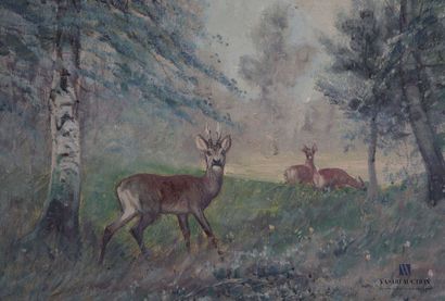 null STEINBACH Eduard (1878-1939)
Chevreuils dans la forêt
Huile sur toile
Signée...