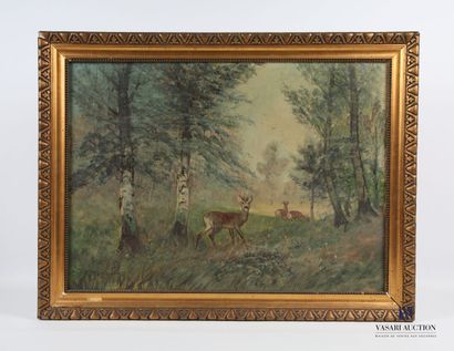 null STEINBACH Eduard (1878-1939)
Chevreuils dans la forêt
Huile sur toile
Signée...