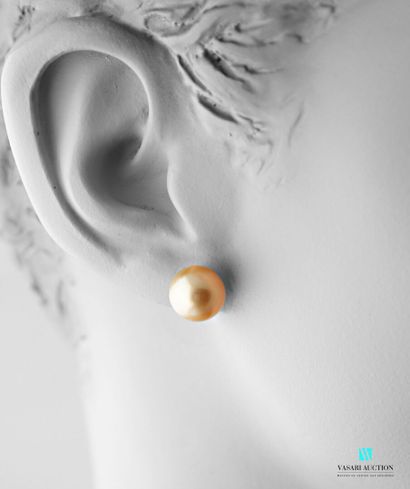 null Paire de boutons d'oreilles en or jaune 750 millièmes ornés de deux perles dorées...