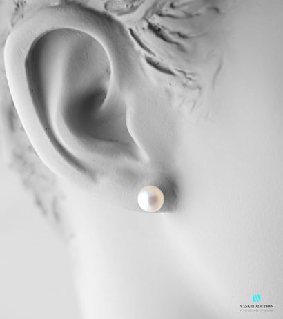 null Paire de boutons d'oreilles en or jaune 750 millièmes ornés de deux perles de...