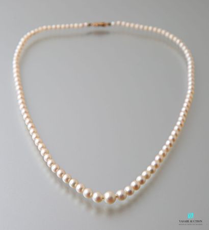 null Necklace of 109 pearls of culture in fall, clasp with ratchet in yellow gold...