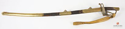 null Saber with battle guard of the model of the officers of Dragons, brass mounting...