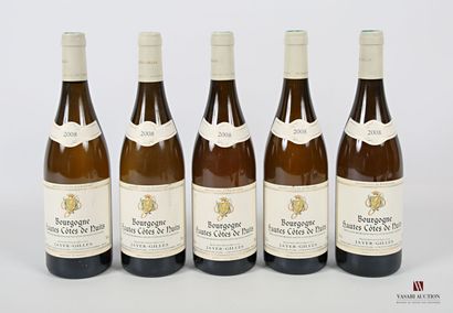 null 5 bouteilles	BOURGOGNE Htes CÔTES DE NUITS blanc mise		2008
	Jayer-Gilles Prop....
