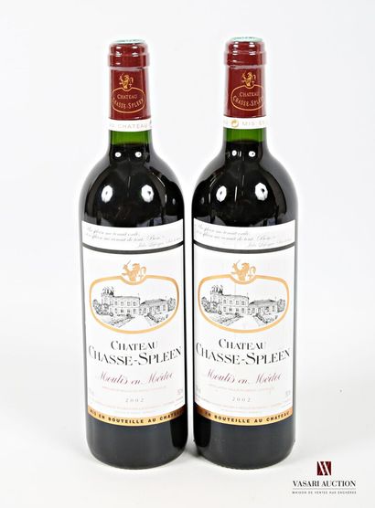 2 bouteilles	Château CHASSE SPLEEN	Moulis	2002
	Et....