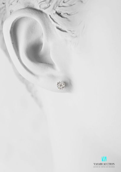 null Pair of flower-shaped ear studs in 750 thousandths white gold set with modern-cut...