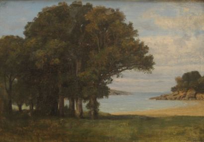 null CABAT Louis (1811 - 1899), attribué à
Paysage lacustre
Huile sur toile
Cachet...