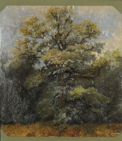 null VERON Alexandre-René (1826-1897)
Le grand chêne
Huile sur papier
Signée en bas...