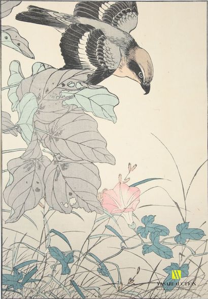 KEINEN Imao (XIXème), d'après
Oiseau et fleur...