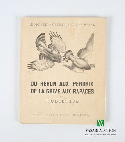 null [HUNTING - OBERTHUR]
Lot including nine books: 
- OBERTHUR J. - Le monde merveilleux...