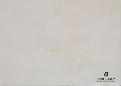 null MALLET Gilles (XX-XXIème siècle)
Shamrok
Crayon et aquarelle sur papier
Signé,...