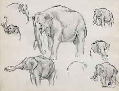 null BÉTOUT Charles (1869 -1945), attribué à 
Étude d'éléphants 
Technique mixte...