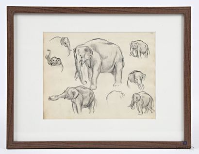 null BÉTOUT Charles (1869 -1945), attribué à 
Étude d'éléphants 
Technique mixte...