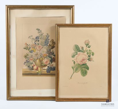 null Lot comprenant deux lithographies en couleurs de Mourlot 
 - Rose à cent feuilles...