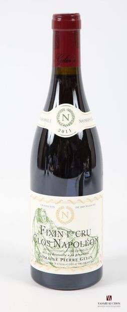 null 1 bouteille	FIXIN 1er Cru Clos Napoléon mise Domaine Pierre Gélin Vit.		2011
	Et....