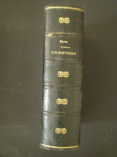 null CHENU. Encyclopédie de l'Histoire Naturelle. Coléoptères.

Paris, F. Didot,...