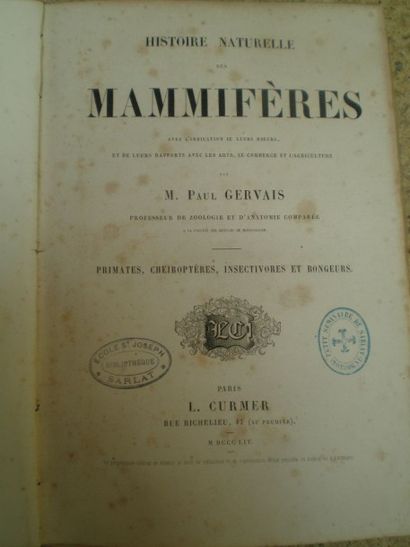 null GERVAIS Paul. Histoire Naturelle des Mammifères. Primates, Cheiroptères, Insectivores...