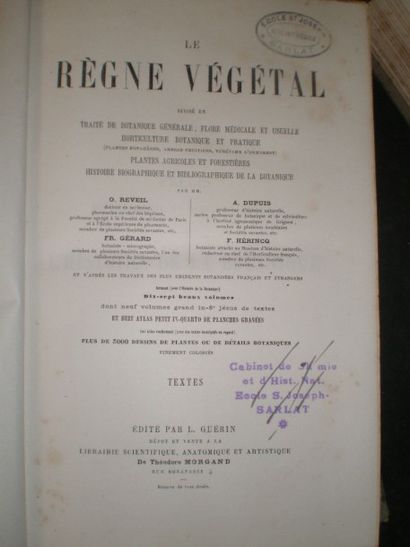 null REVEIL (O.), GERARD (FR.), DUPUIS (F.), HERINCQ (F.). Le Règne Végétal divisé...