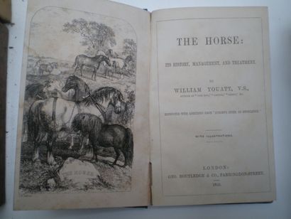 null YOUATT William. The Horse : its history, management, and treatment.

Londres,...
