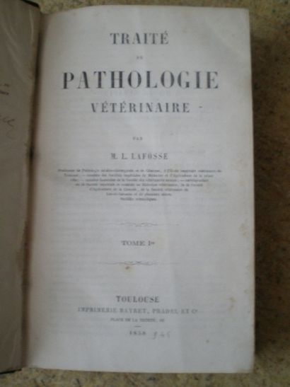 null LAFOSSE. Traité de Pathologie vétérinaire.

Toulouse, 1858-1868, 3 tomes en...
