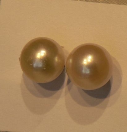 null Paire de boutons d'oreille en or jaune, ponctuées de perles de culture Akoya...