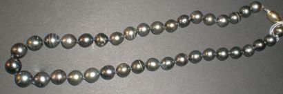 null Collier en perles de Tahiti de 38 perles en chute, diamètre de 9 à11.7

Fermoir...