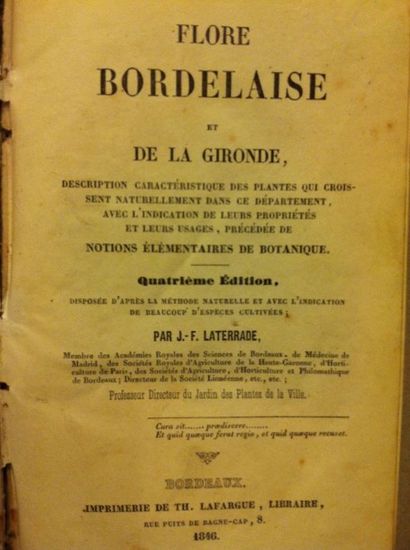null LATERRADE (J.F.). Flore Bordelaise et de la Gironde. Description caractéristique...