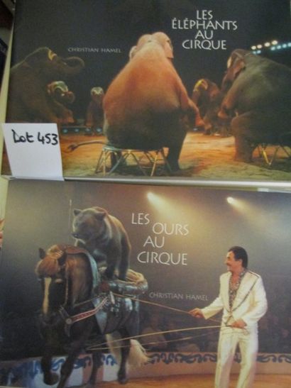 null HAMEL Christian Les Eléphants au cirque. 

Kervinio, 2001, broché, 255 pages,...