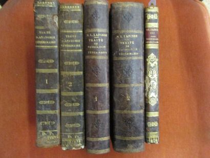 null GIRARD (J.). Traité d’Anatomie Vétérinaire.

Paris, Huzard, 1830, 2 volumes...