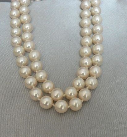 null Collier à double rang de perles de culture de 5-5,5 mm, le fermoir en or gris...