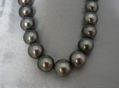 null Collier de perles de culture de Tahiti, en chute, de 10,3 à 8,8 mm, la monture...
