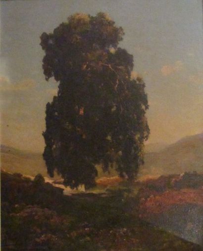 null CABIÉ Louis Alexandre (1854-1939)

Chêne dans un paysage

Huile sur toile

Signée...