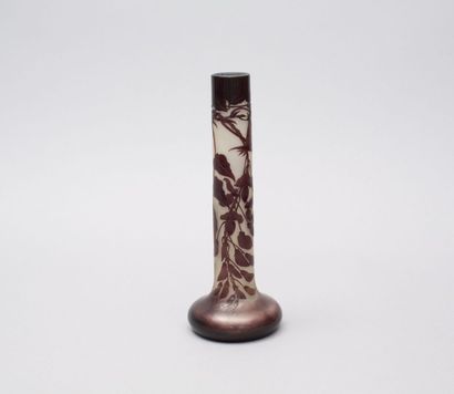 null GALLÉ Emile (1846-1903)

Vase soliflore en verre multicouche à décor de

glycine...