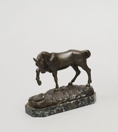 null PAIGNANT M. (actif au XIXème - XXème

siècle)

Cheval antérieur levé

Bronze...