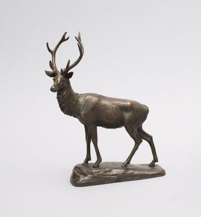 null GARDET Georges (1863 -1939) d’après

Le grand cerf

Bronze à patine brune

Signé

(trou...