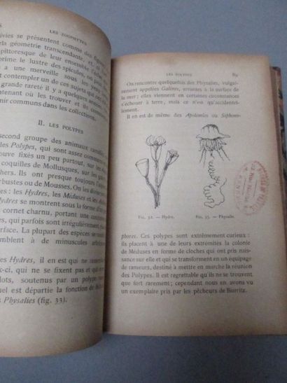 null FOLIN, Marquis de. - Pêches et chasses

zoologiques. Paris, Baillière. 1903....