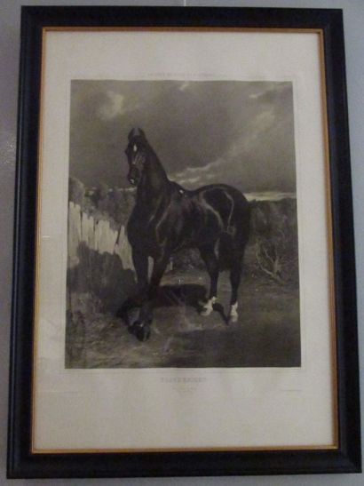 null de DREUX Alfred (1810-1860) d’après

Black Knight

Lithographie

65 x 48,5 ...