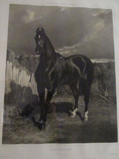 null de DREUX Alfred (1810-1860) d’après

Black Knight

Lithographie

65 x 48,5 ...