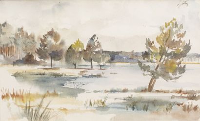 null d’ANTY Maurice Henri (1910-1998)

Paysage de marais

Aquarelle sur carton

Signée...