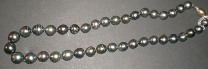 null Collier en perles de Tahiti de 38 perles en

chute, diamètre de 9 à 11,7 mm...