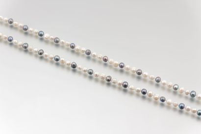 null Sautoir de perles d’eau douce bicolores.

Long. : 140 cm