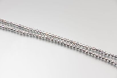 null Sautoir de perles d’eau douce grises.

Long. : 140 cm