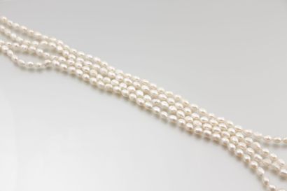 null Sautoir de perles d’eau douce grises de

forme olive. Long. : 260 cm