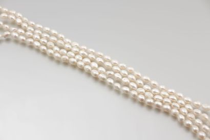 null Sautoir de perles d’eau douce grises de

forme olive. Long. : 260 cm