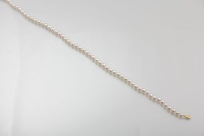 null Collier de perles de cultures Akoya de 7-7,5

mm, le fermoir navette en or jaune.

Long....