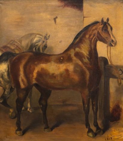 null JEANNEAU Edouard (XIXème-XXème

siècle)

Étude de cheval bai

Huile sur toile...