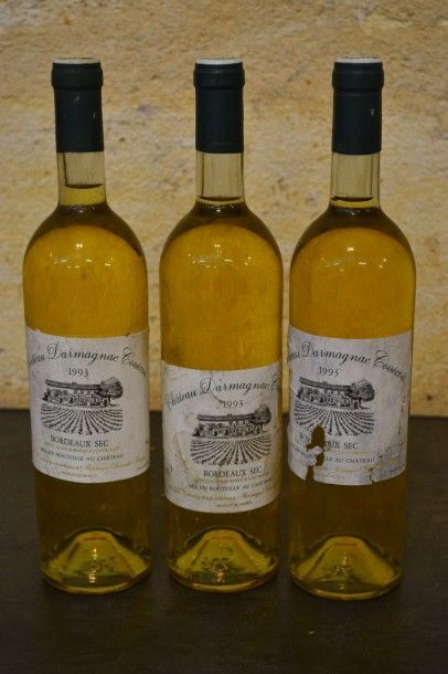 null 3 Blles : CH. DARMAGNAC COUECOU Bordeaux Blanc 1993

Et. fanées, tachées et...