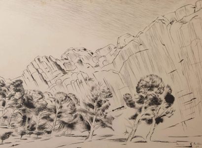 null SALKIN Emile (1900-1977)

Paysage de falaises et épineux

Encre de Chine à rehauts...