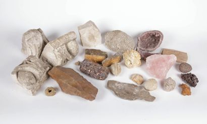 null Ensemble de pierres diverses, fossiles