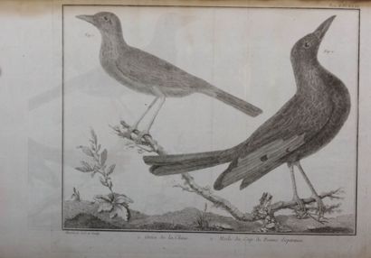 null MARTINET Francois (1725-1804) (dessinateur et graveur) 

Planches figurant givre...